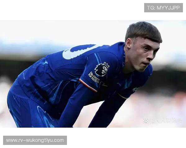 帕尔默首个赛季高光表现，持续性与稳定性如何衡量？