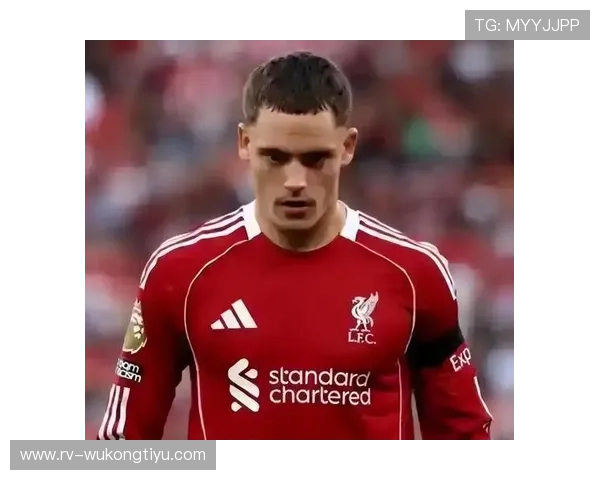 维尔茨与德布劳内：创造力与经验差距解析